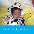 Hayate's Birth Story