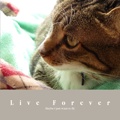 Live Forever