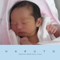 ＨＡＲＵＴＯ