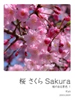 桜 さくら Sakura