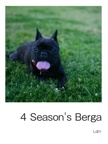 4 Season's Berga