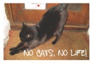 NO CATS, NO LIFE!