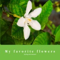 My favorite flowers