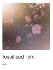 fossilised light