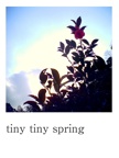 tiny tiny spring
