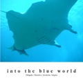 into the blue world