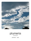 plumeria