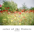 color of the flowers