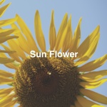 Sun Flower