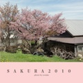 SAKURA2010 