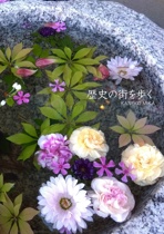 歴史の街を歩く