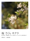 桜 さくら サクラ