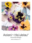 Aolani～Ha`ulelau*