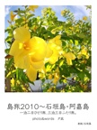 島旅2010～石垣島・阿嘉島