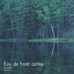 Eau de forêt calme