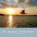 My memory Wild birds