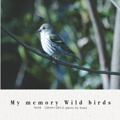 My memory Wild birds