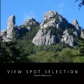 VIEW SPOT SELECTION