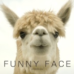 FUNNY FACE
