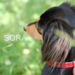 SORA