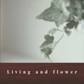 Living and flower