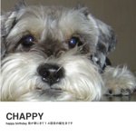 CHAPPY 