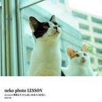 neko photo LESSON