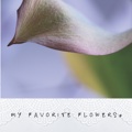 my favorite flowers*