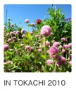 IN TOKACHI 2010