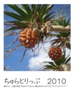 ちゅらとりっぷ　2010
