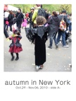 autumn in New York  