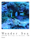 Ｗｏｎｄｅｒ　Ｓｅａ