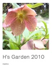 H's Garden 2010