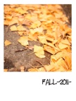 FALL-2011-