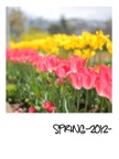 SPRING-2012-