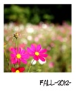 FALL-2012-