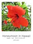 Honeymoon in Hawaii