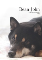 Bean John
