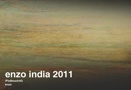 enzo india 2011