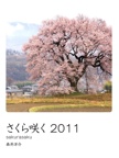 さくら咲く 2011