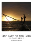 One Day on the GBR