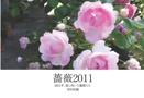 薔薇2011