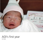 AOI's first year