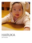 HARUKA