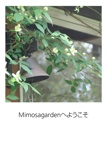 Mimosagardenへようこそ