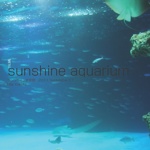 sunshine aquarium