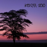   kenya 2010