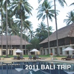 2011 BALI TRIP