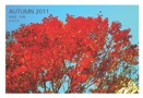 AUTUMN 2011