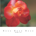 Rose Rose Rose